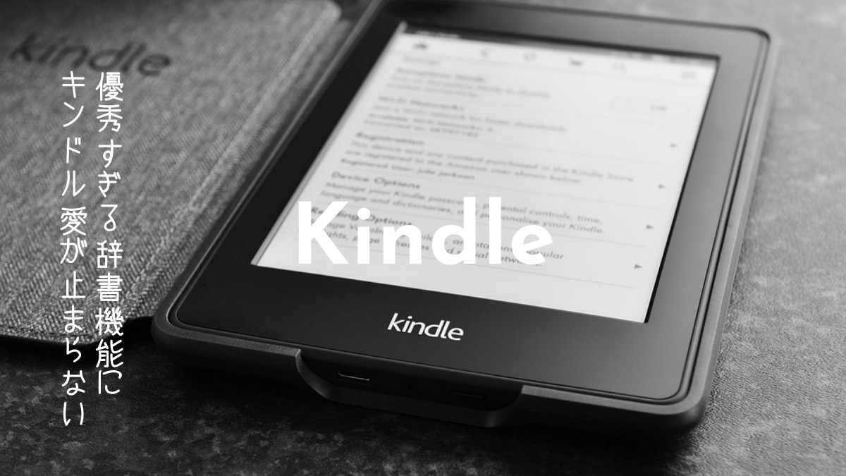 Kindle_dictionary